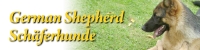 shepherdbunner.jpg